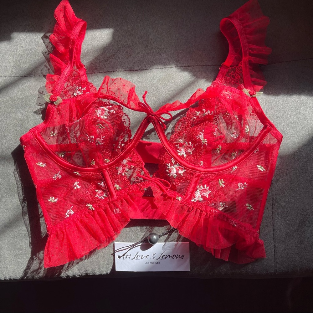 For Love & Lemons Bustier Top